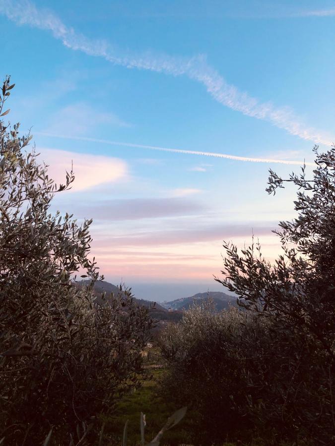 Tovo San Giacomo Bed And Breakfast Ca Du 5 المظهر الخارجي الصورة