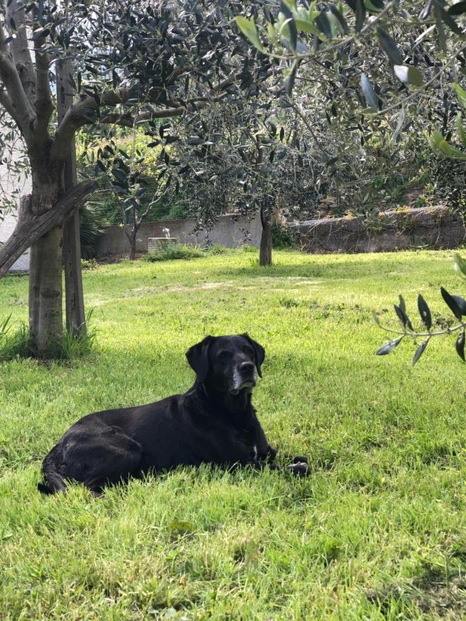 Tovo San Giacomo Bed And Breakfast Ca Du 5 المظهر الخارجي الصورة
